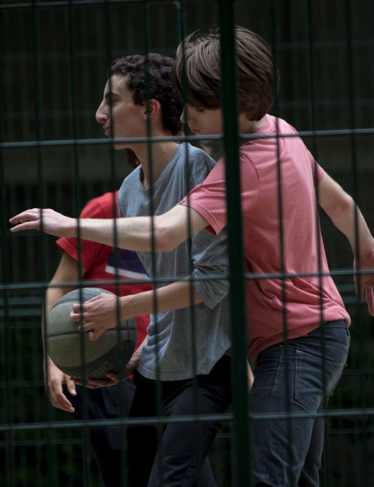 Wolves editorial, image 4
